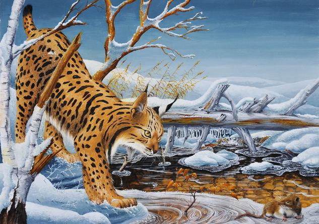 La caza del lince. Michel Michaux