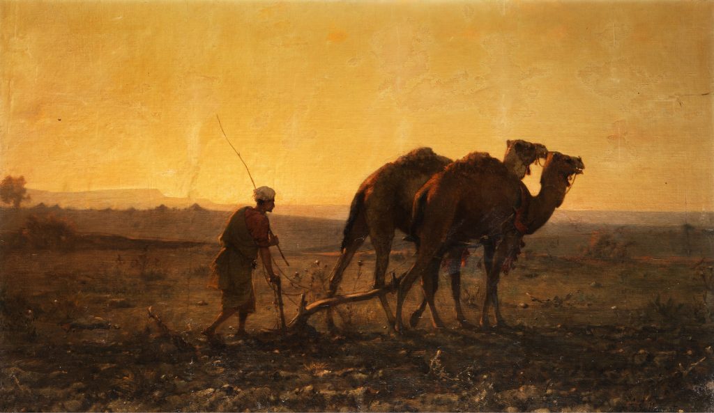 Árabe arando con camellos (1861), Gustave Guillaumet.