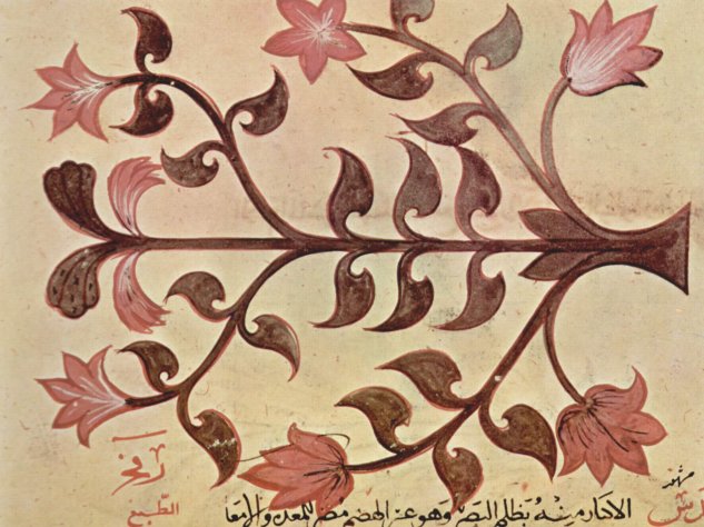  De Materia Medica (Das Kräuterbuch) des Dioskurides, arabische Manuskriptabschrift des griechischen Textes, Szene
