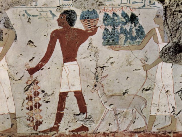  Grabkammer des Amenemhêt, ranghoher Offizier unter der Regierung des Thutmosis' III., Szene