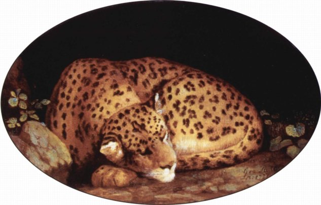  Leopard, Oval
