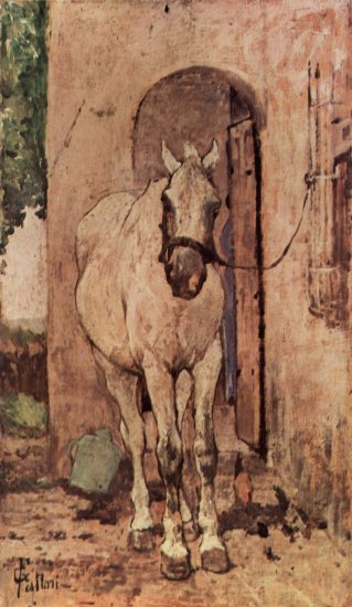  Weißes Pferd vor einer Tür
